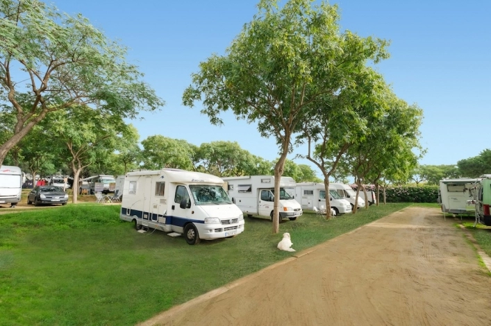 zobacz camping - zdjęcie 11
