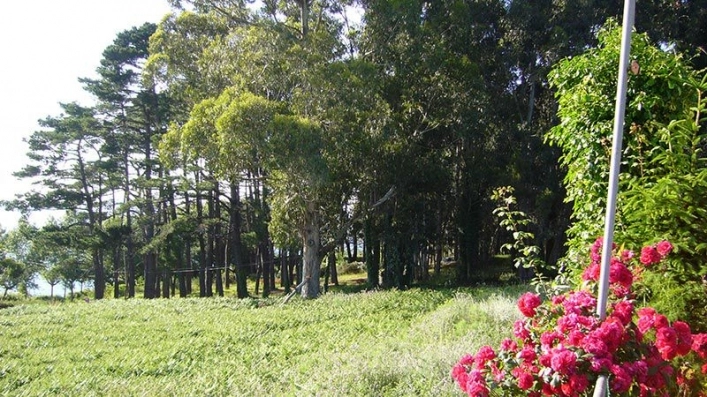 zobacz camping - zdjęcie 9