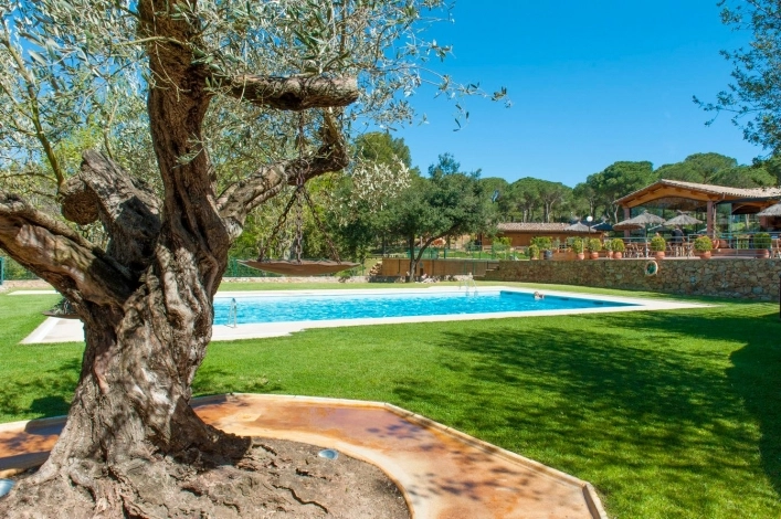 zobacz camping - zdjęcie 29