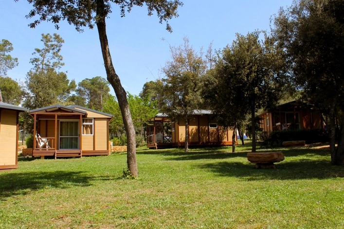 zobacz camping - zdjęcie 28