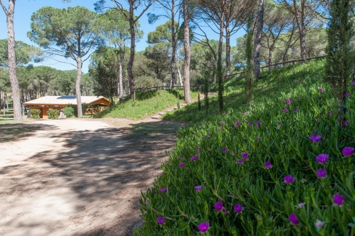 zobacz camping - zdjęcie 21