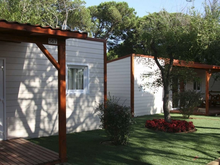 zobacz camping - zdjęcie 14