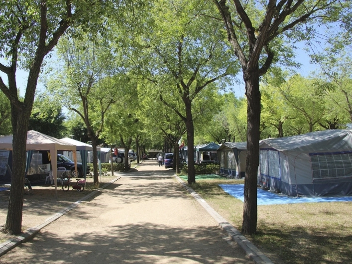 zobacz camping - zdjęcie 12