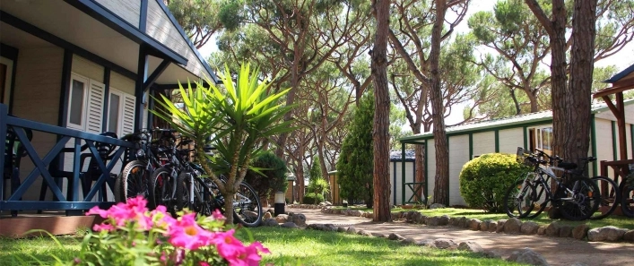 zobacz camping - zdjęcie 9