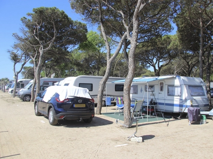 zobacz camping - zdjęcie 8