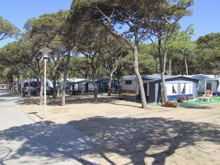 Camping Bella Terra - zdjęcie 4