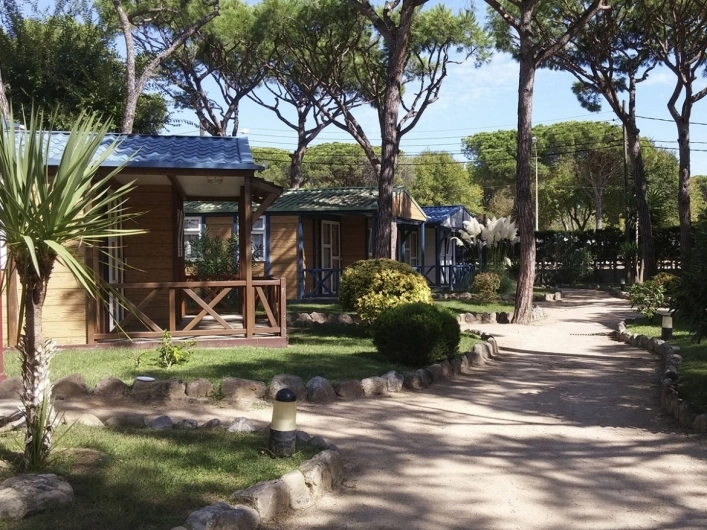 Camping Bella Terra - zdjęcie 2