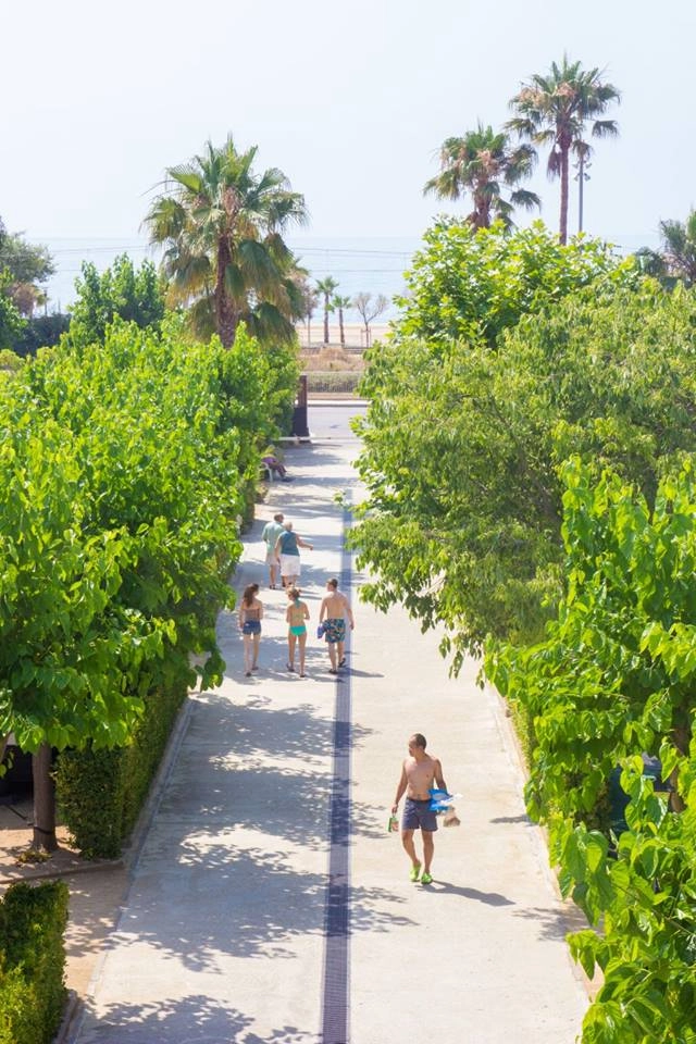 zobacz camping - zdjęcie 7