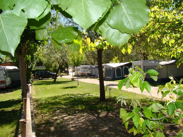 zobacz camping - zdjęcie 12