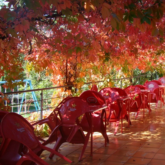 zobacz camping - zdjęcie 11