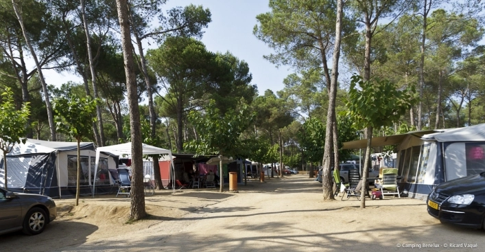 Camping Benelux - zdjęcie 3