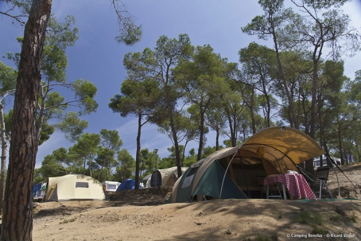 zobacz camping - zdjęcie 3