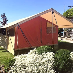 Camping Benelux - zdjęcie 1