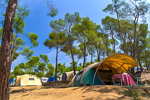 Camping Benelux