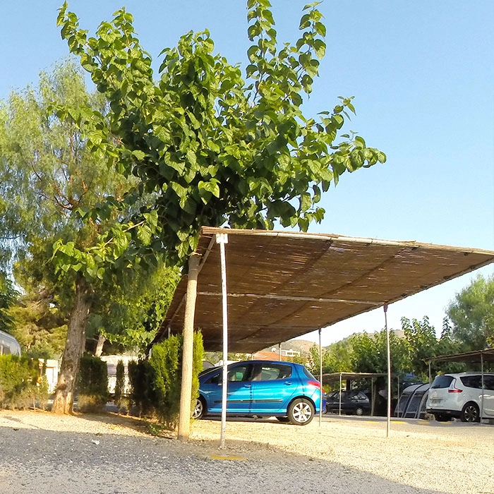 zobacz camping - zdjęcie 21