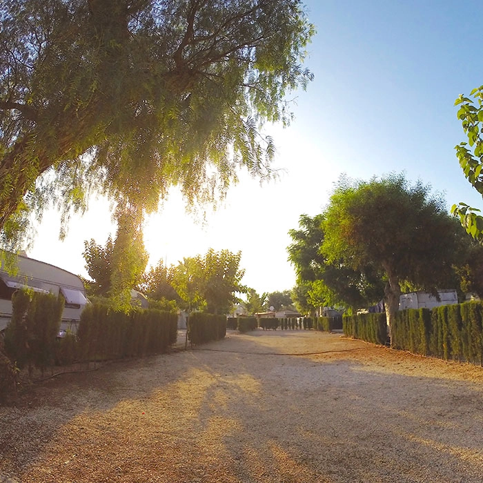 zobacz camping - zdjęcie 3