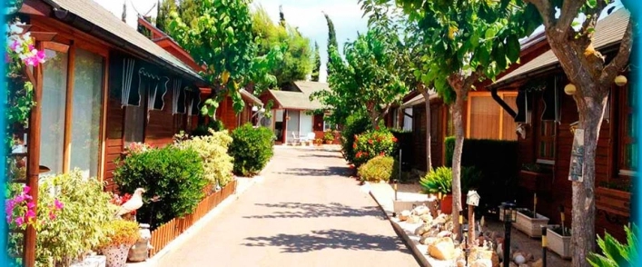 zobacz camping - zdjęcie 8