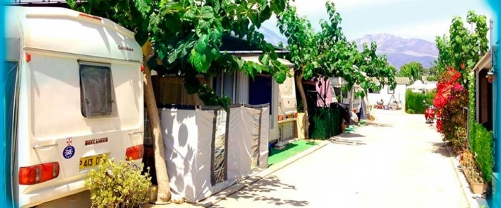 Camping Benisol - zdjęcie 4