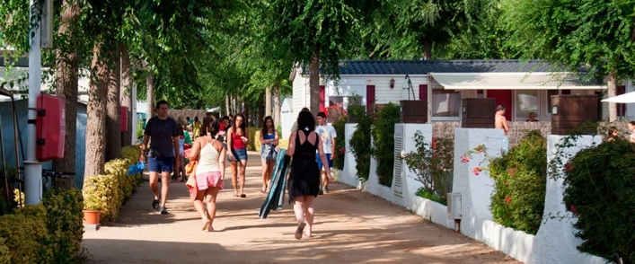 zobacz camping - zdjęcie 7