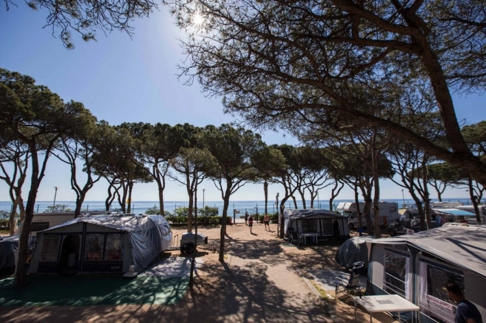 zobacz camping - zdjęcie 14