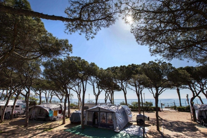zobacz camping - zdjęcie 12
