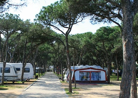 zobacz camping - zdjęcie 9