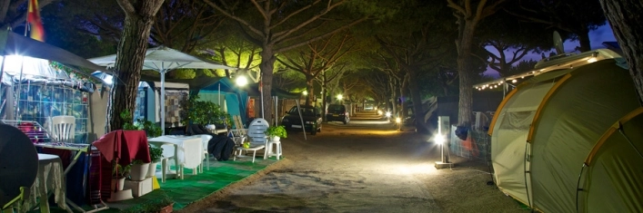 zobacz camping - zdjęcie 12