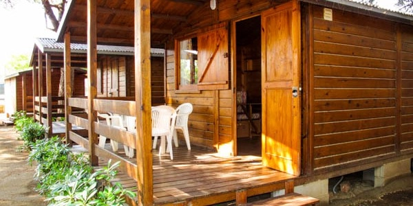 zobacz camping - zdjęcie 8