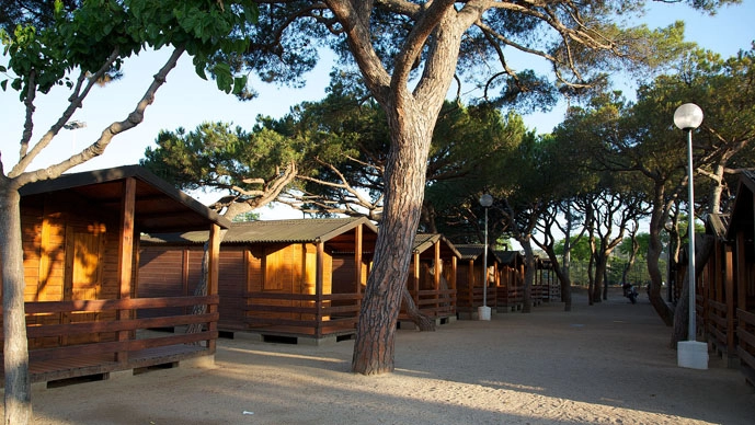 zobacz camping - zdjęcie 5