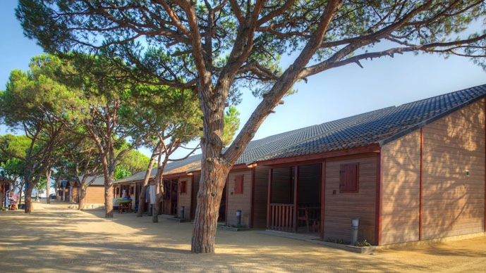 zobacz camping - zdjęcie 2