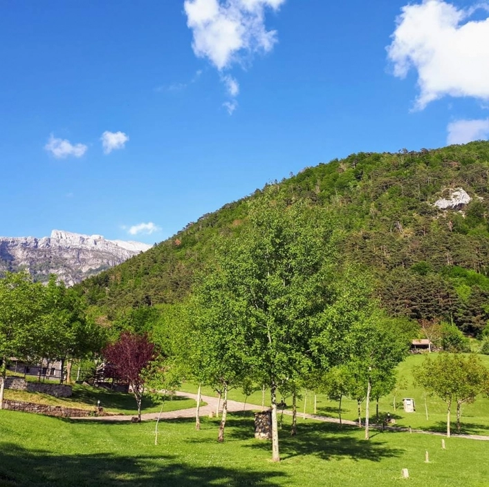 zobacz camping - zdjęcie 15