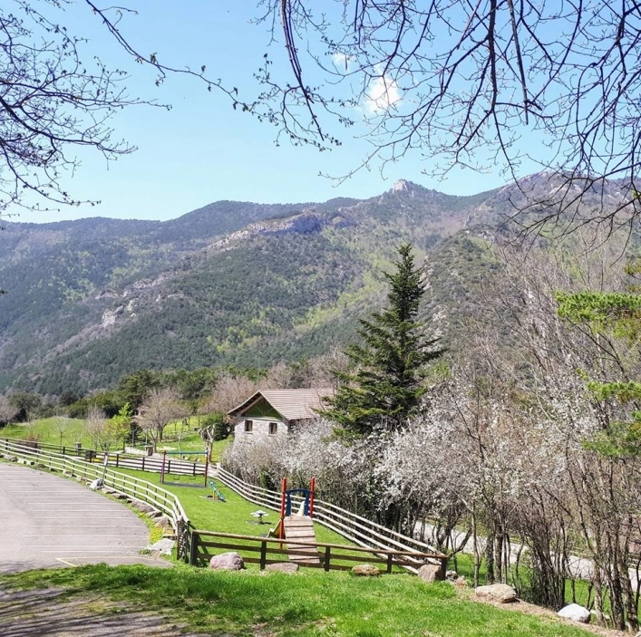 zobacz camping - zdjęcie 8