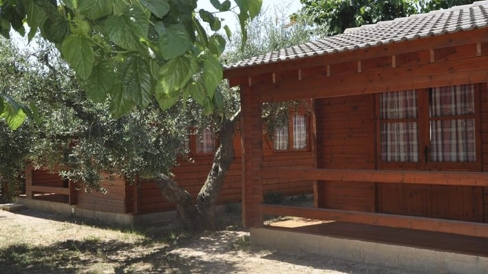 zobacz camping - zdjęcie 7