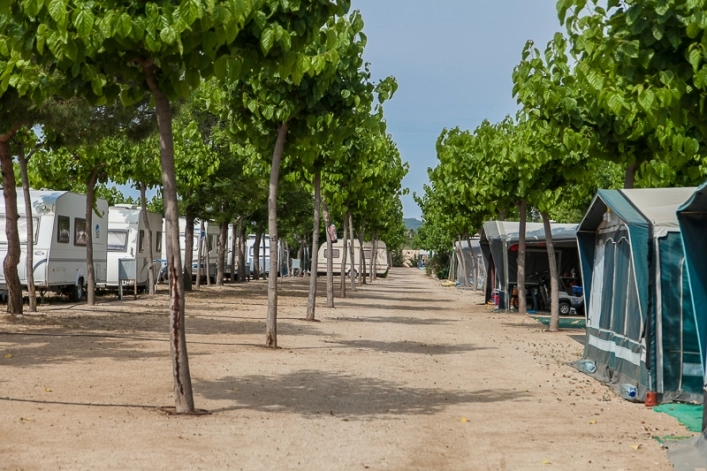 zobacz camping - zdjęcie 11