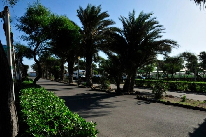 zobacz camping - zdjęcie 13