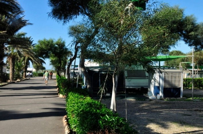 zobacz camping - zdjęcie 10