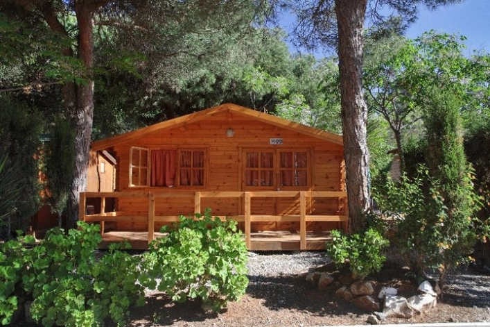 zobacz camping - zdjęcie 21