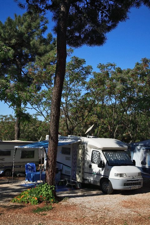 zobacz camping - zdjęcie 18