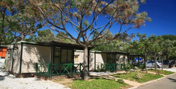 zobacz camping - zdjęcie 16