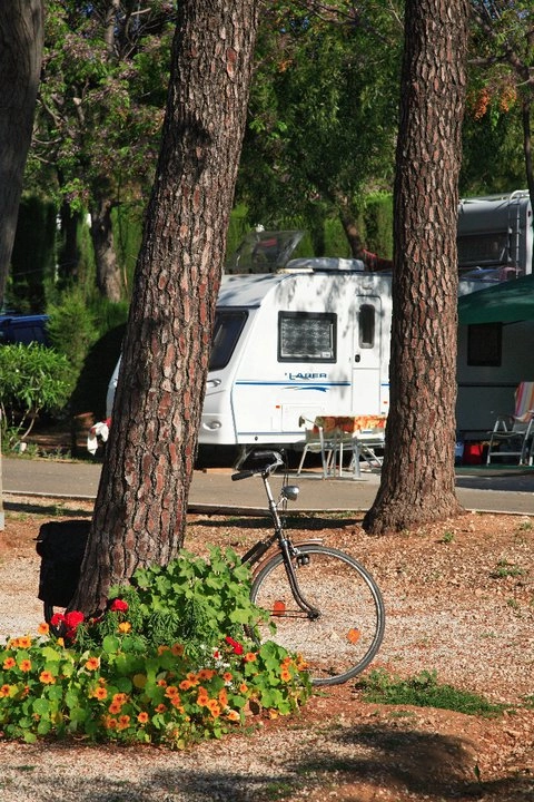 zobacz camping - zdjęcie 8