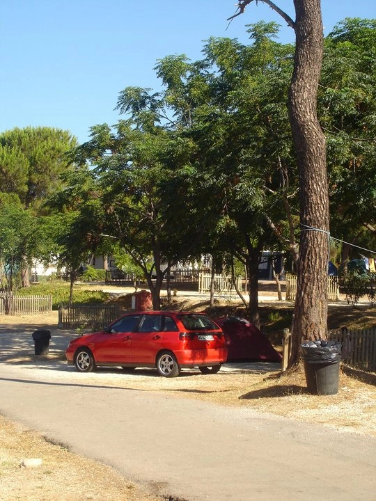 zobacz camping - zdjęcie 6