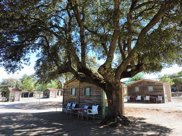 zobacz camping - zdjęcie 16