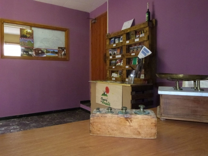 zobacz camping - zdjęcie 4