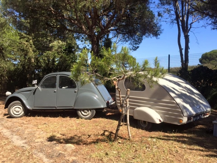 zobacz camping - zdjęcie 12