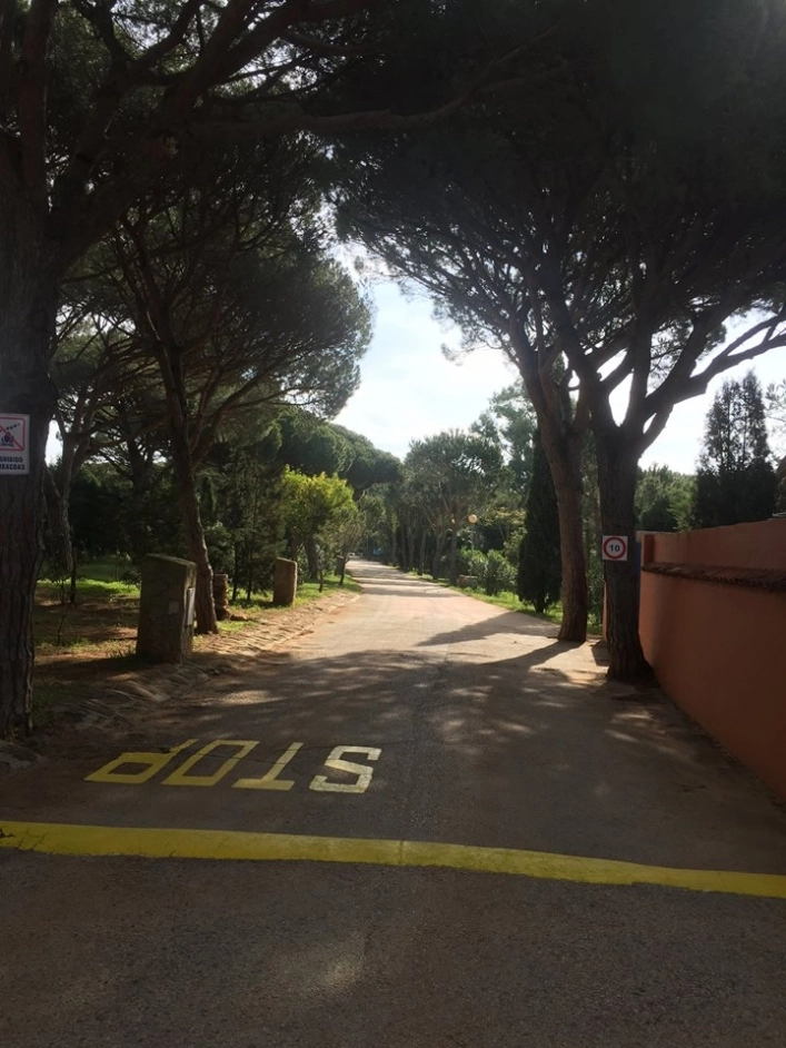 zobacz camping - zdjęcie 6