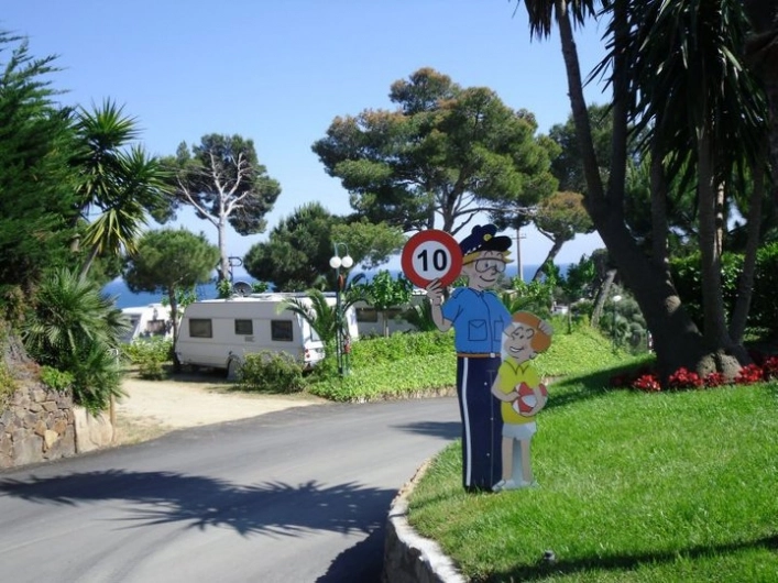 zobacz camping - zdjęcie 12