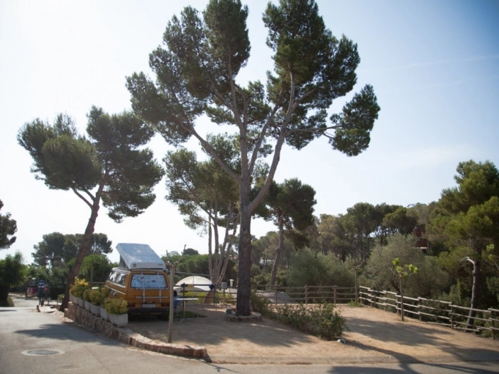 zobacz camping - zdjęcie 11