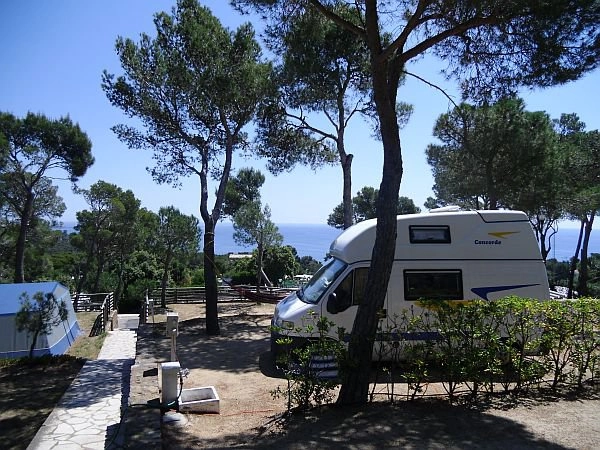 zobacz camping - zdjęcie 6