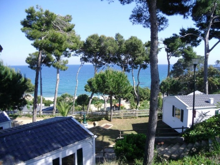 Camping Cala Gogo - zdjęcie 4