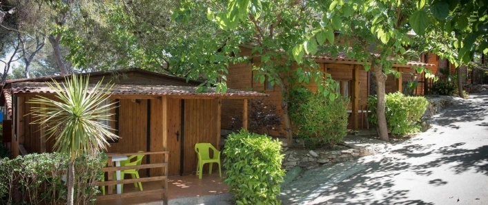 zobacz camping - zdjęcie 32